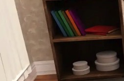 【欧美SLG/汉化/沙盒】困难时期v0.56.0汉化版【PC 安卓/1.41G/更新】